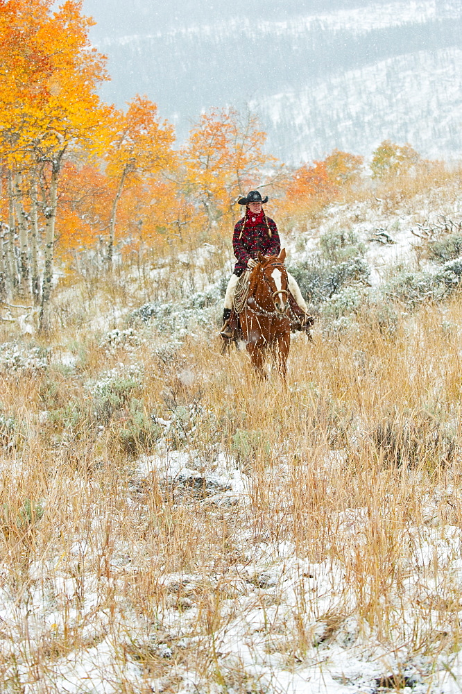 Horseback rider