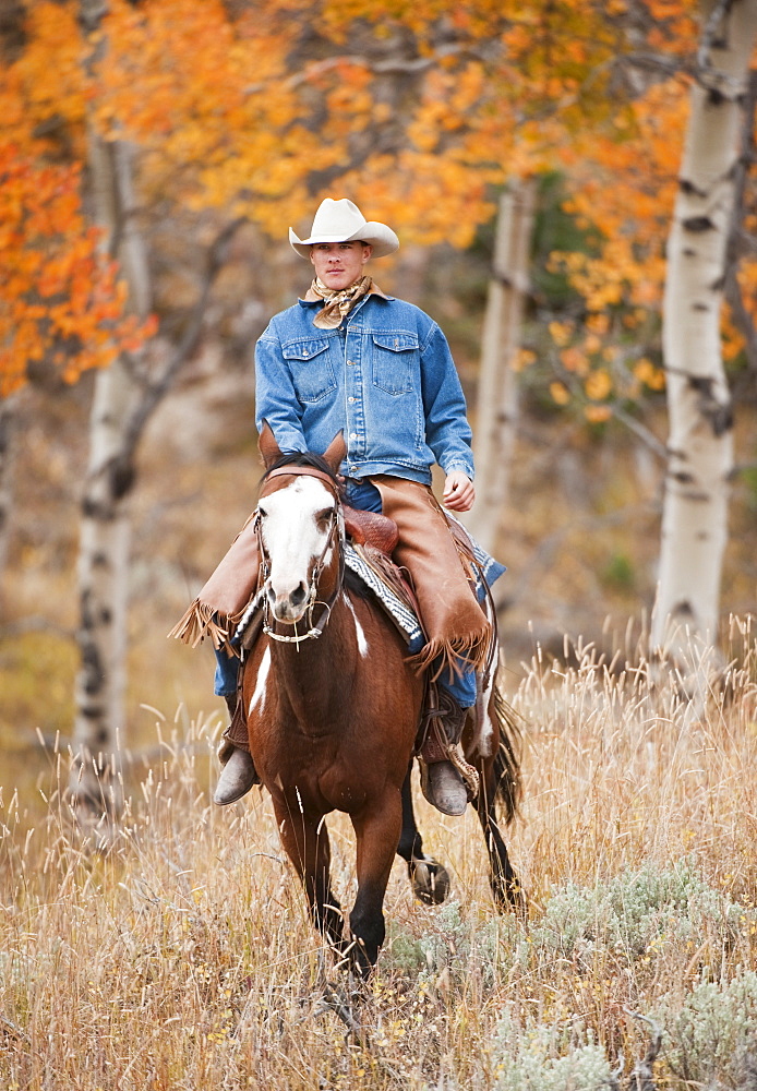 Horseback rider