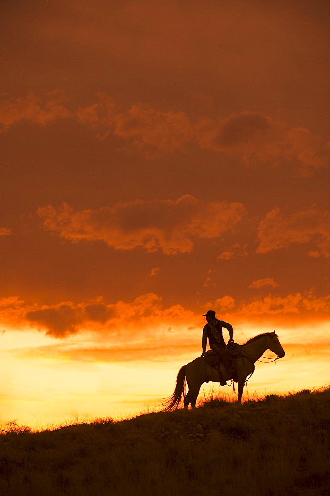 Horseback rider