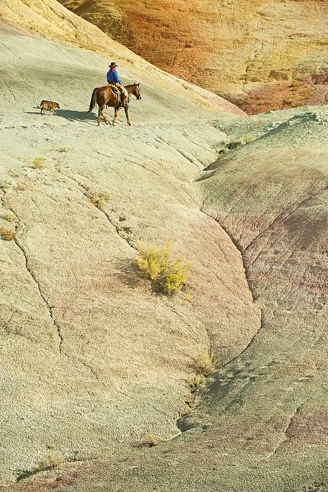 Horseback rider