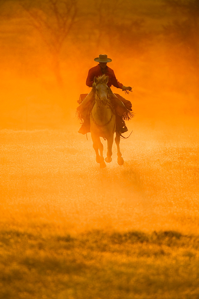 Horseback rider