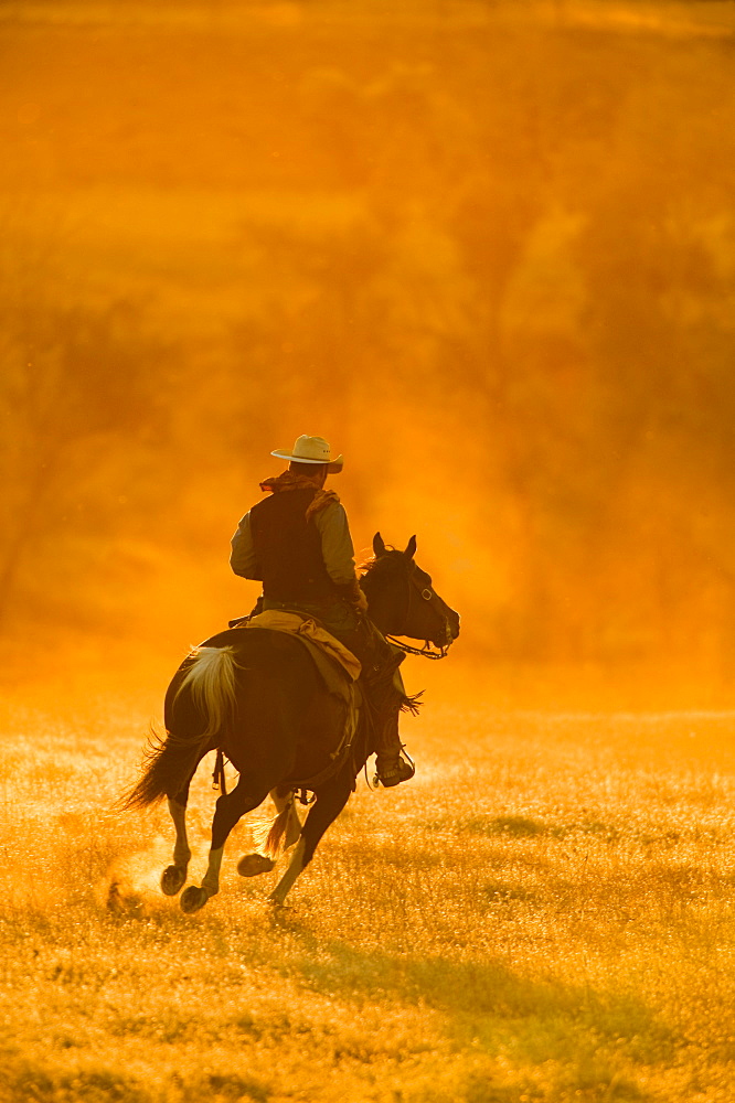 Horseback rider