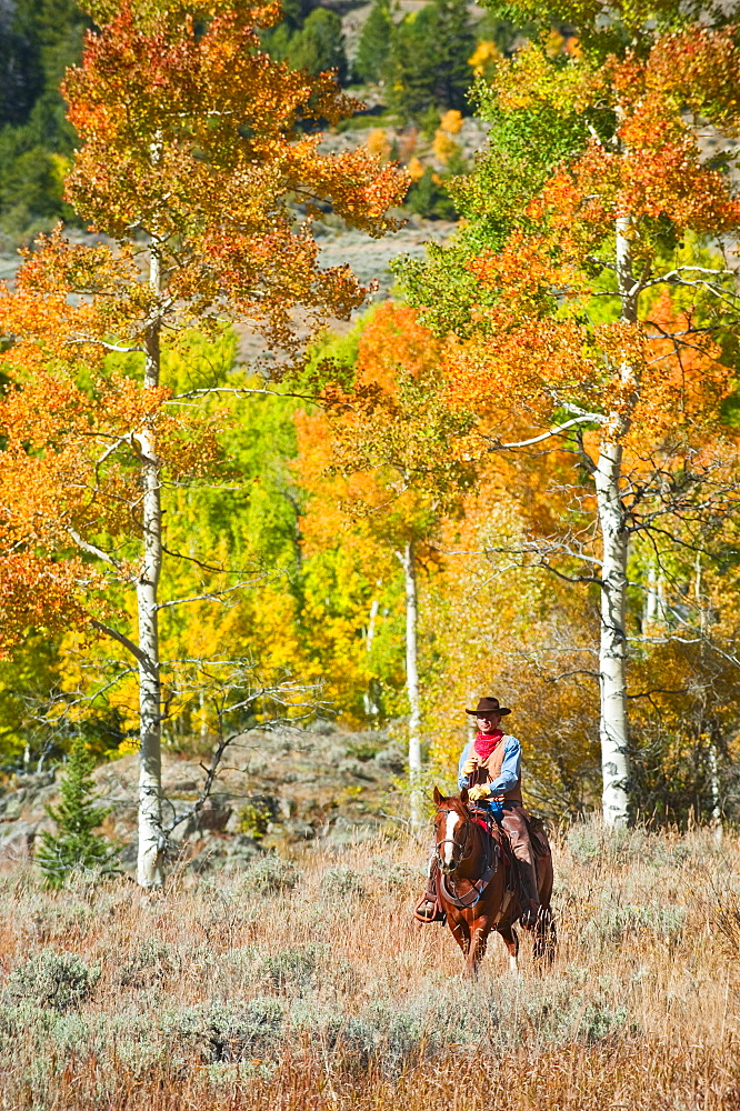 Horseback rider