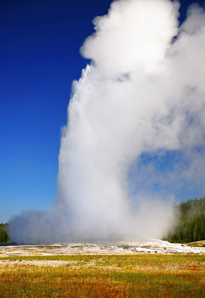 Old Faithful Geyser