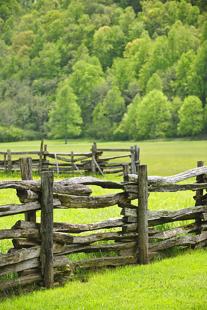 A fence in Smoky Mountain National Park