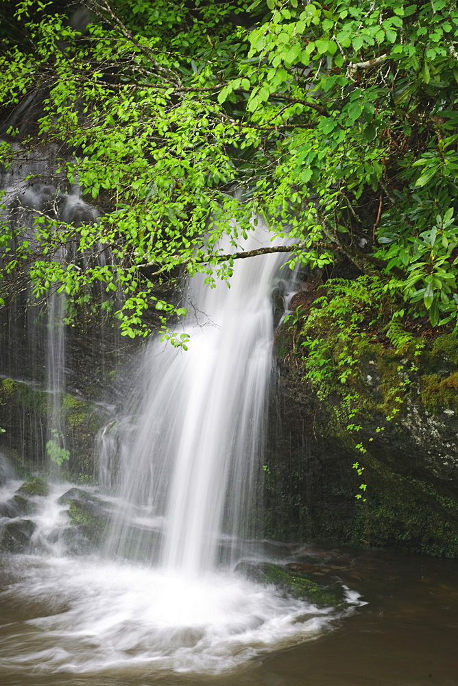 A scenic waterfall