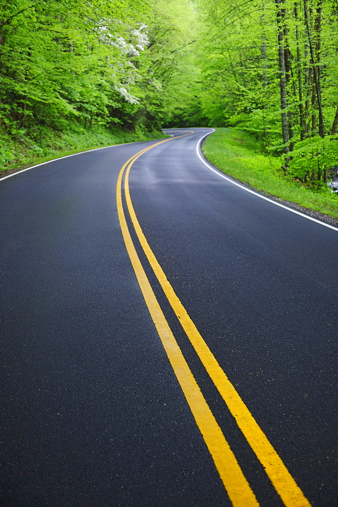 A scenic and empty road