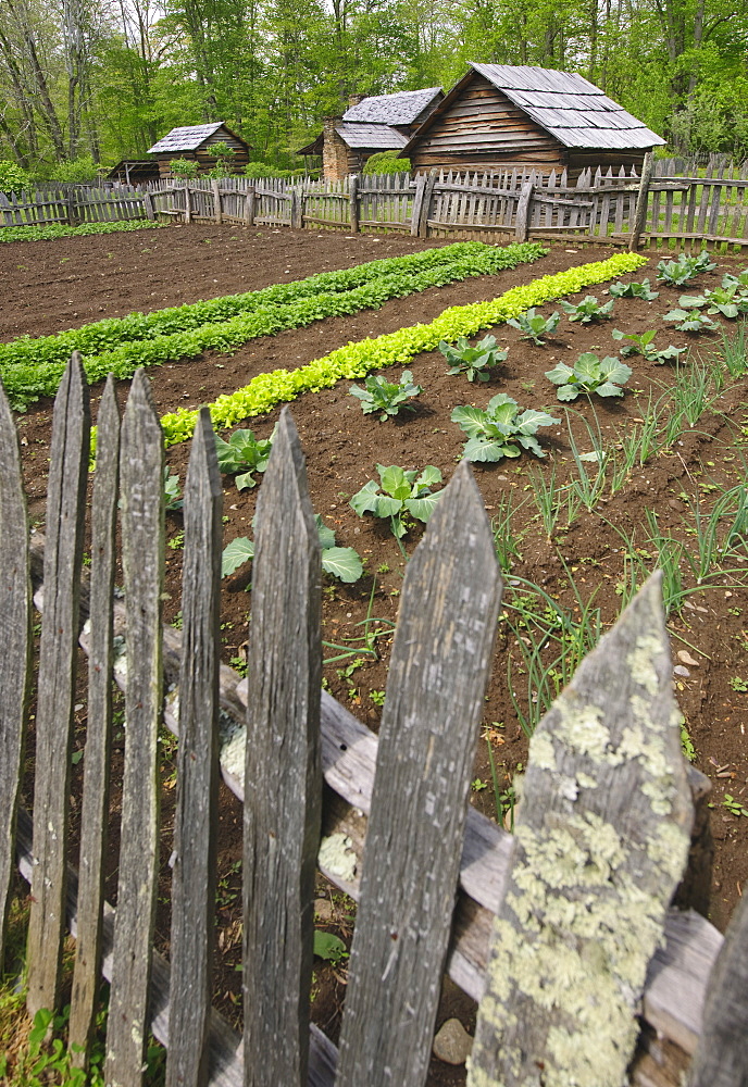 A vegetable garden at Smoky Mountain National Park