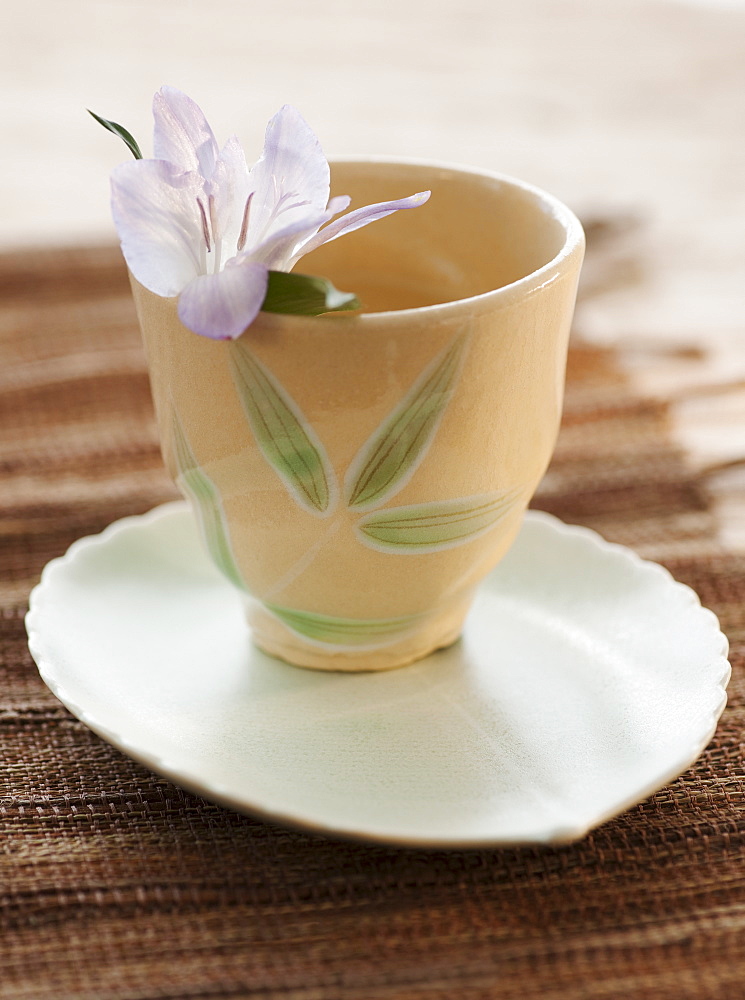 Tropical flower in tea cup