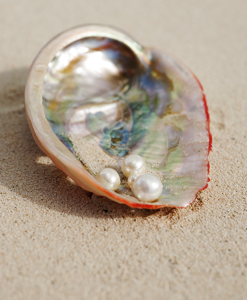 Close up of pearls in oyster shell