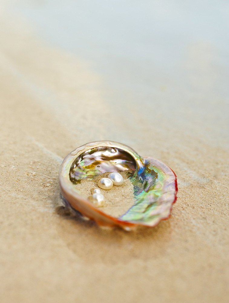 Close up of pearls in oyster shell