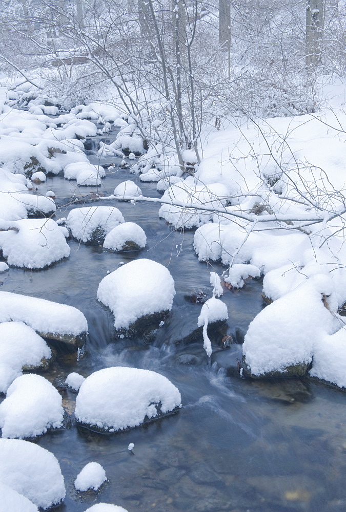 Snowy stream in winter