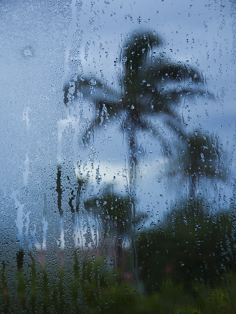 Tropical storm in Bermuda from window