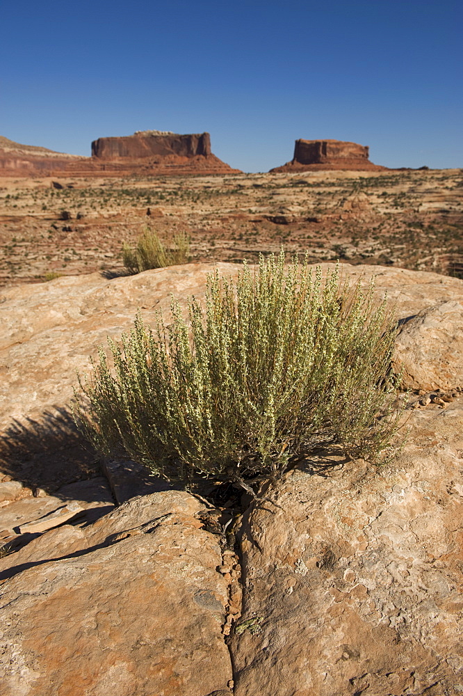 Monitor and Merrimack buttes, Utah