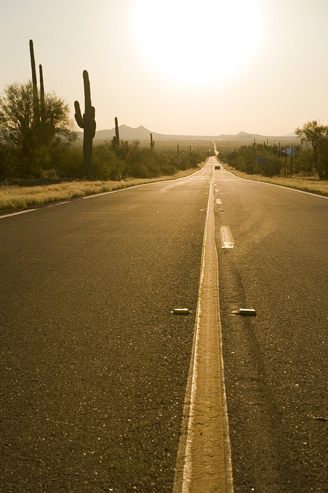 Sun shining over desert road, Flagstaff, Arizona