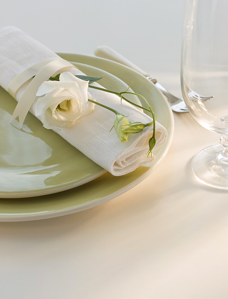 Elegant placesetting