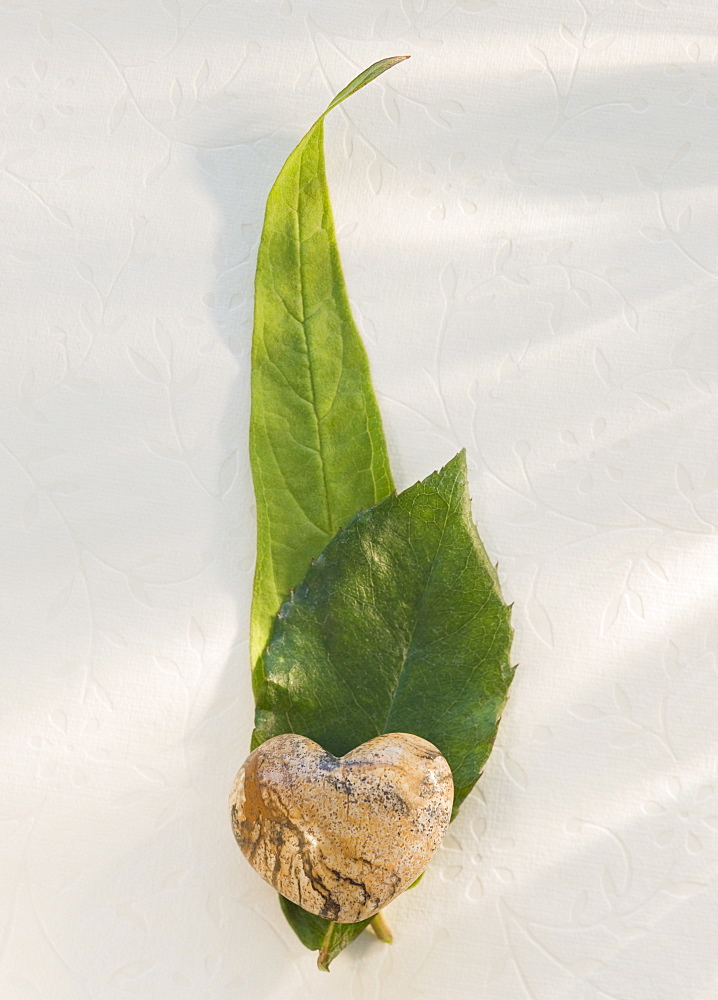 Close up of leaves and stone heart