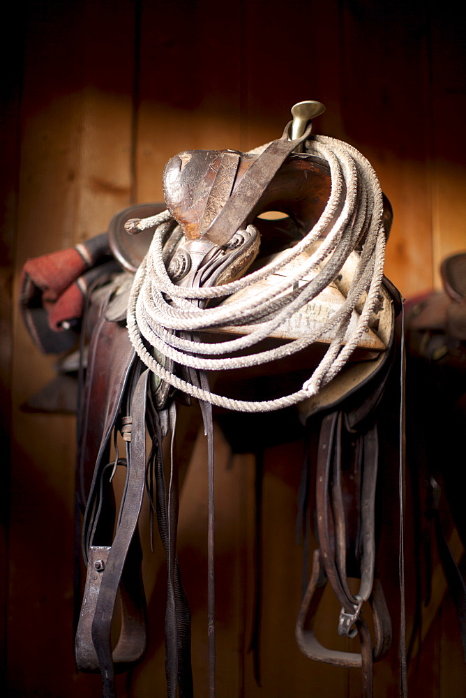 Close-up of saddle with rope