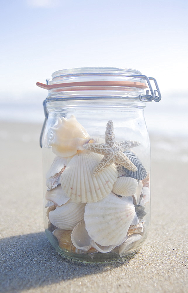 USA, Massachusetts, close up of shells in jar