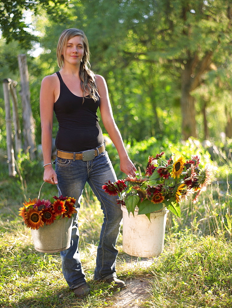 USA, Colorado, Young woman carrying buckets with sunflowers