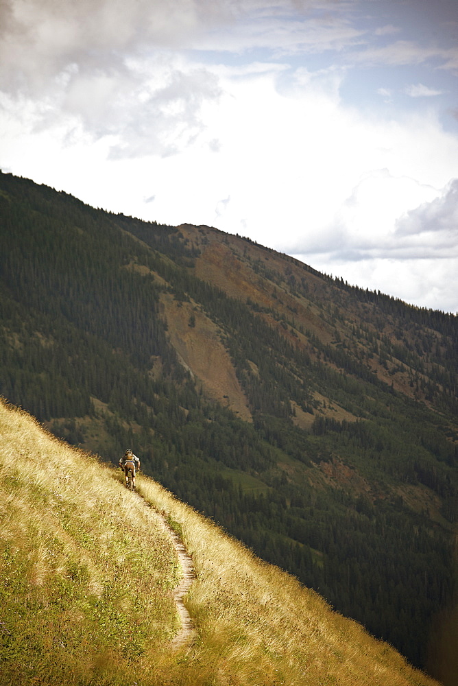 Man mountain biking on trail