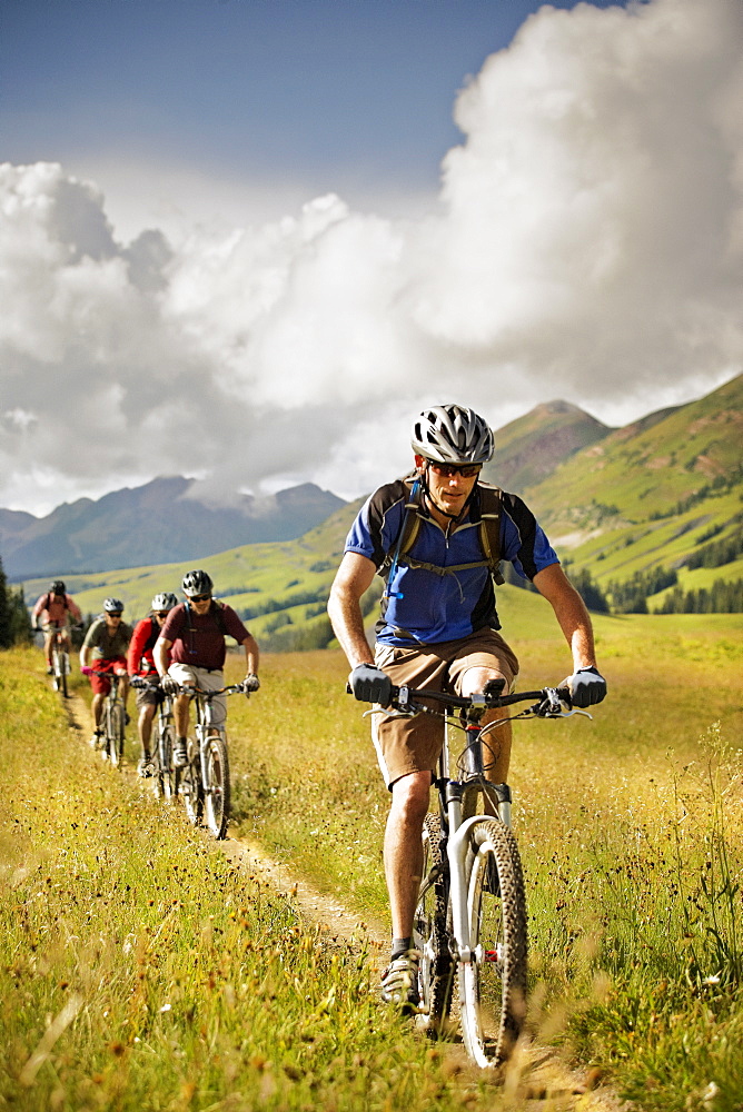 Men mountain biking on trail