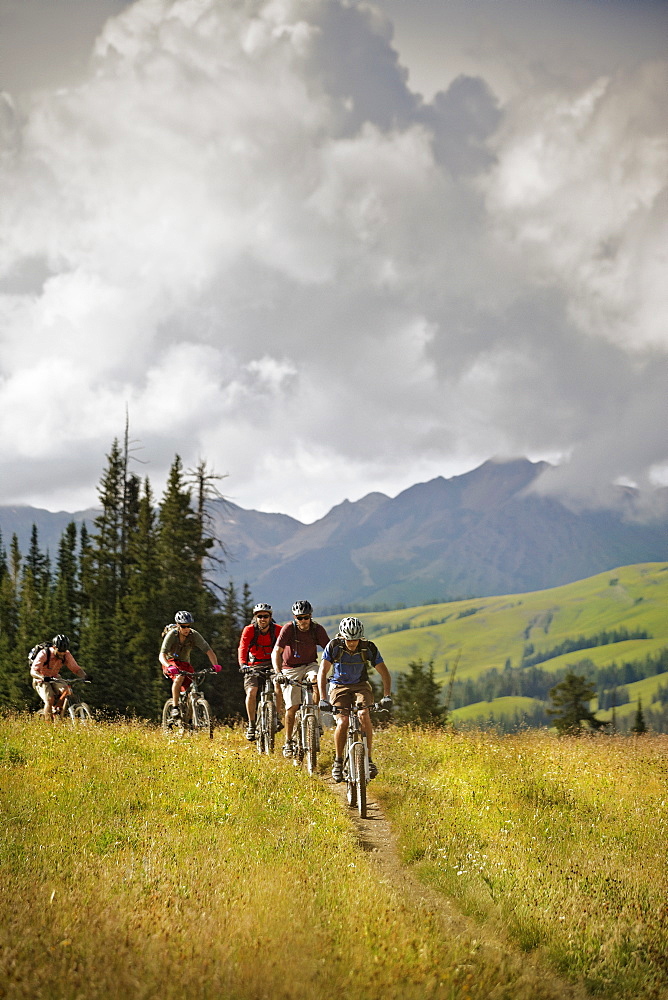 Men mountain biking on trail