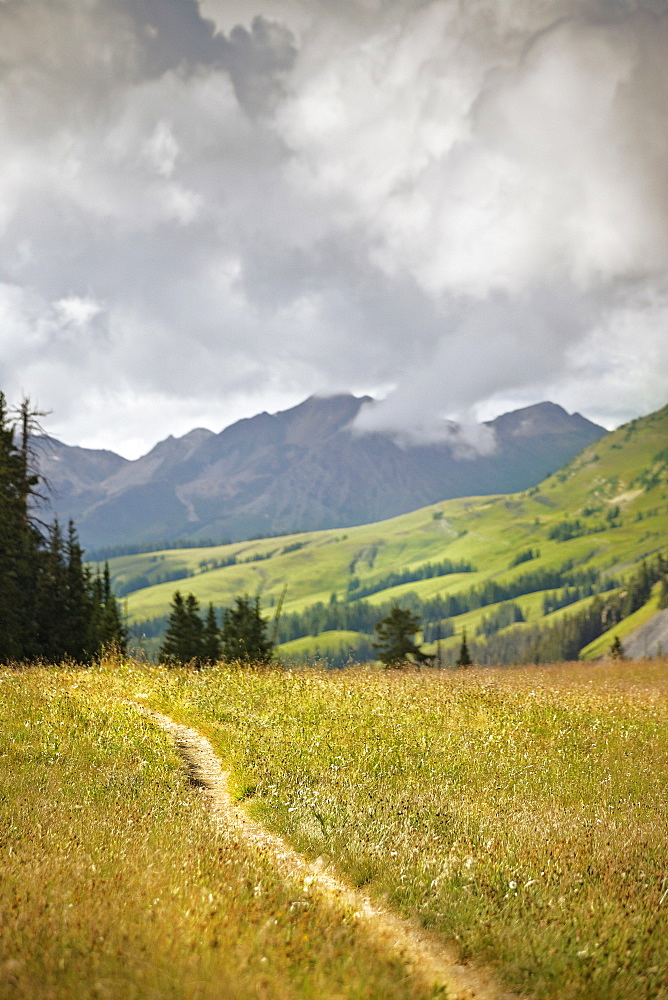 Track through mountains