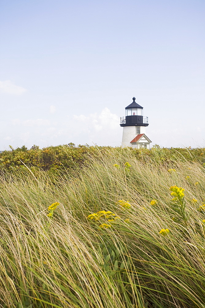 Lighthouse