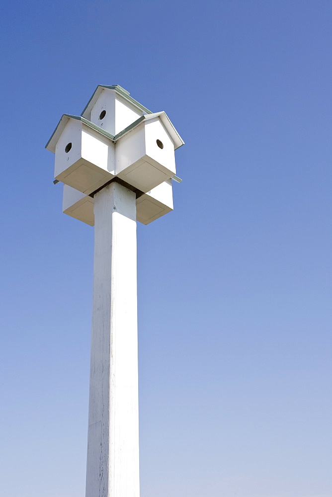 Bird houses