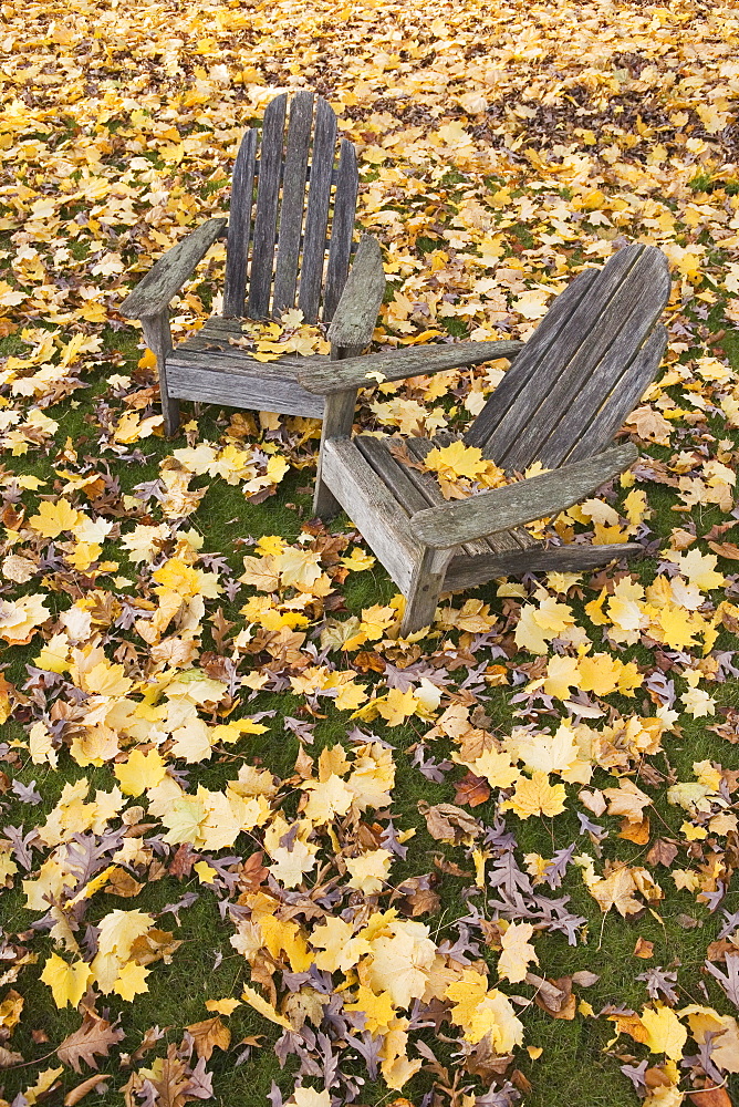 Adirondack chairs