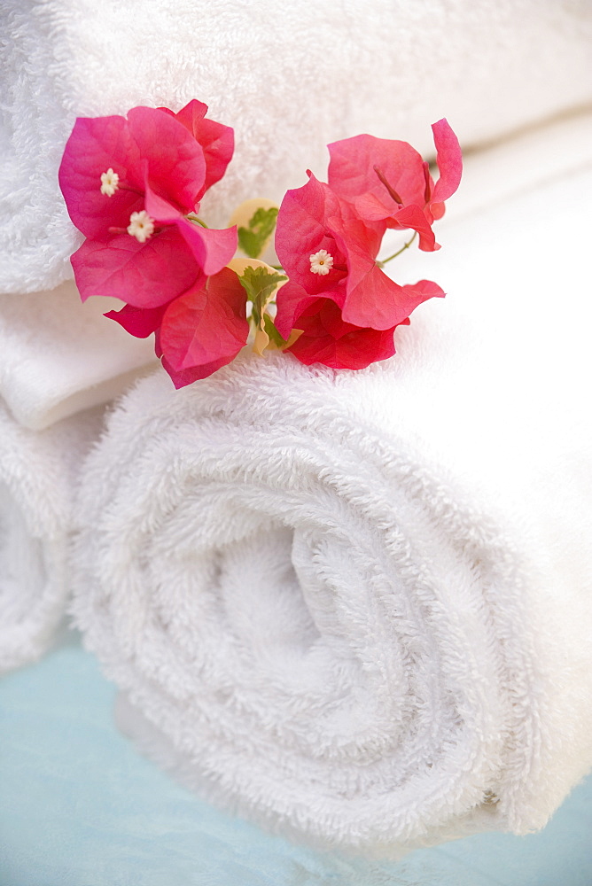 Spa towels and tropical flower