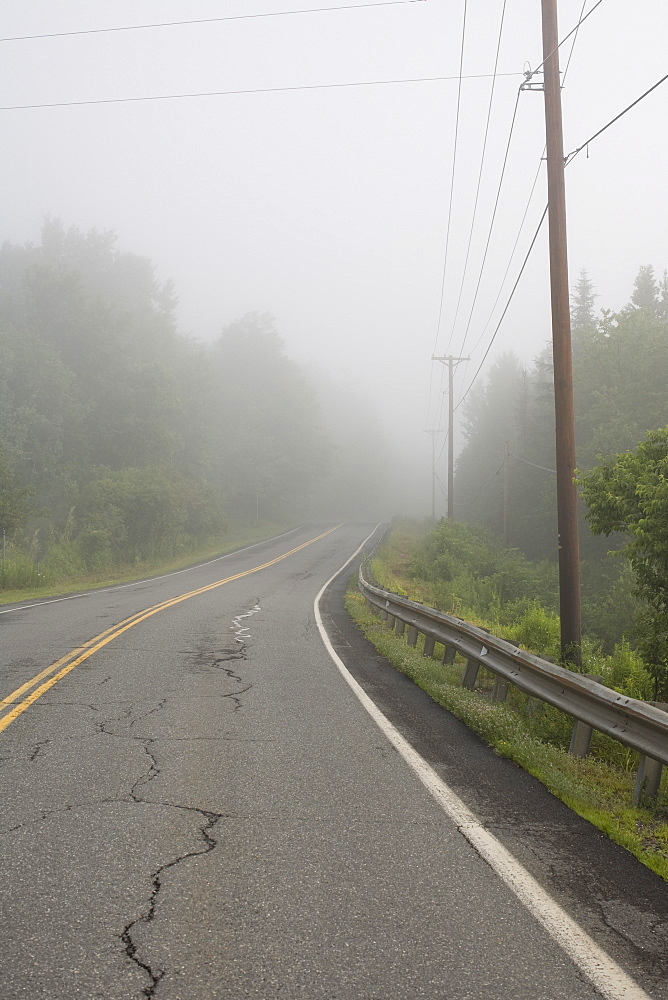Foggy