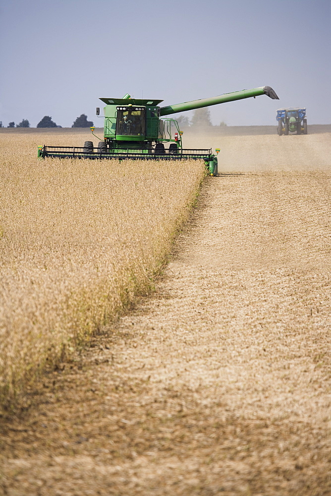 Combine harvesting field