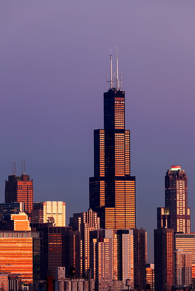 Gold Coast buildings in autumn, Chicago, Illinois 