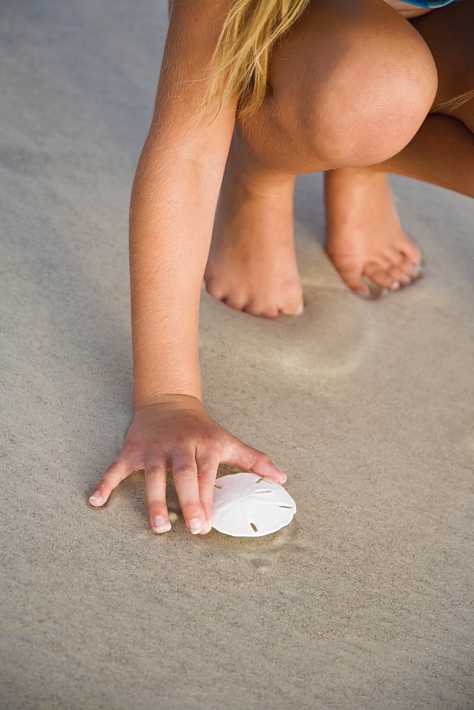 Girl picking up sand dollar, Florida, United States