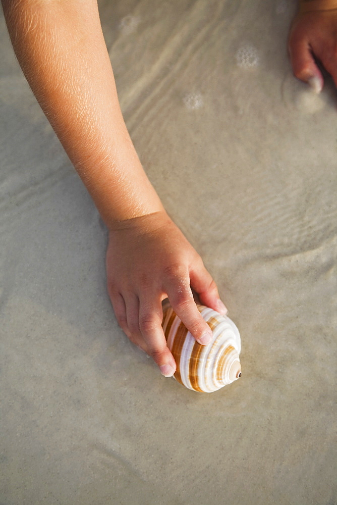 Girl picking up sea shell, Florida, United States