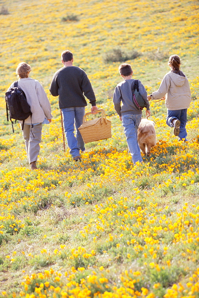 Family hiking in field of wildflowers