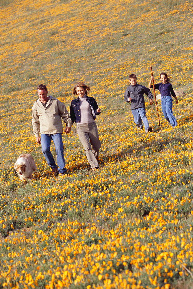 Family hiking in field of wildflowers