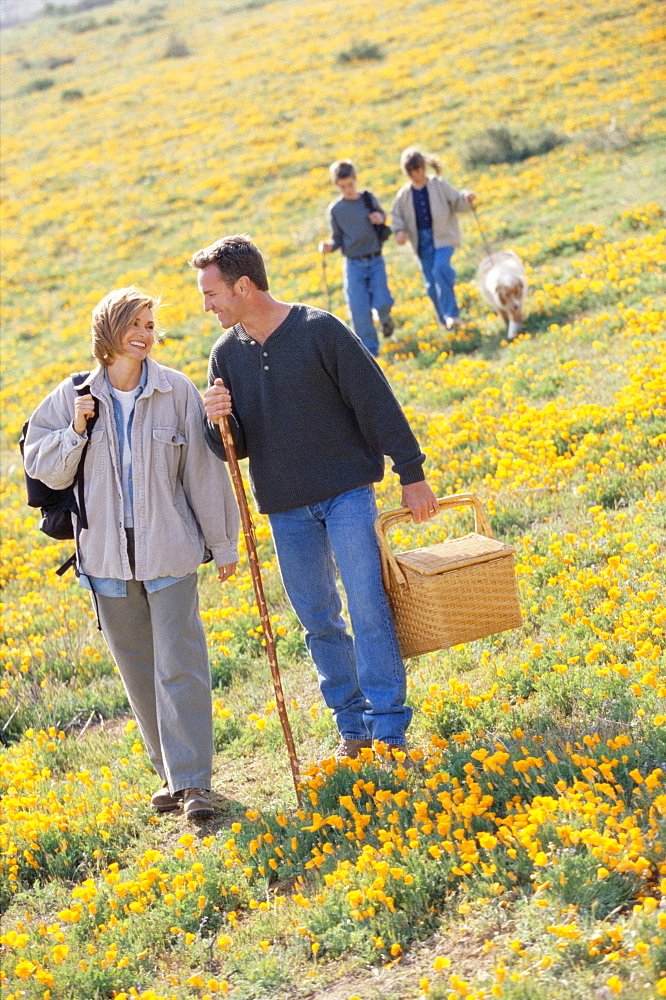 Family hiking in field of wildflowers