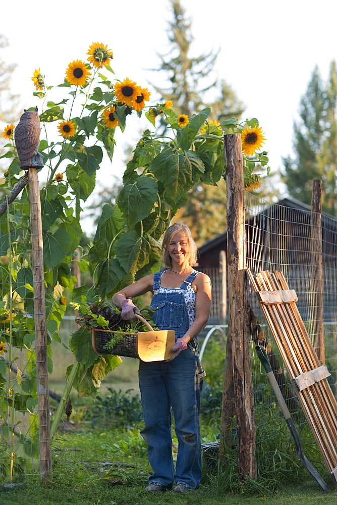 USA, Montana, Whitefish, Mid adult woman in her garden