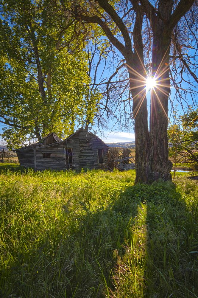 USA, Oregon, Mitchell, View of old house