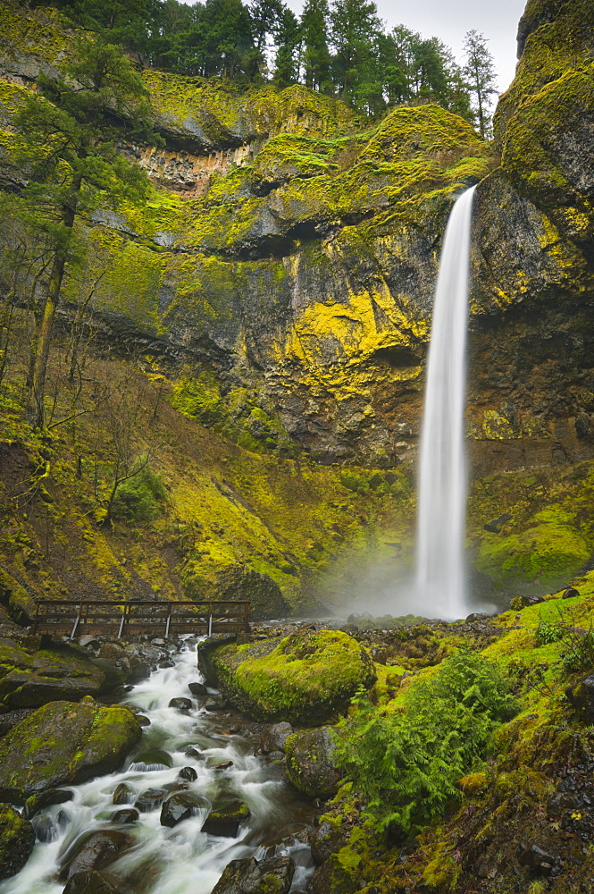 USA, Oregon, Multnomah County, Elowah Falls