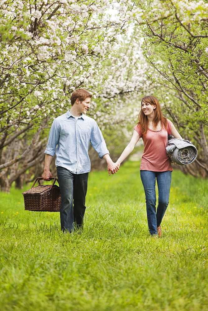 USA, Utah, Provo, Young couple with picnic basket in orchard