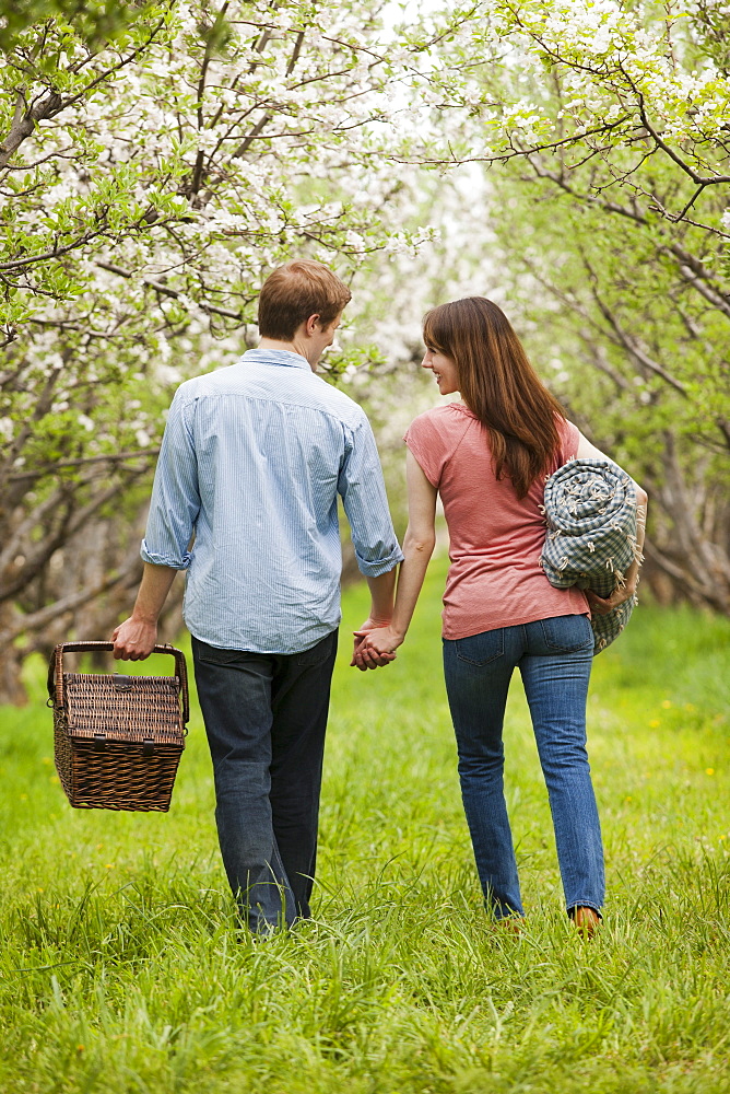 USA, Utah, Provo, Young couple with picnic basket in orchard