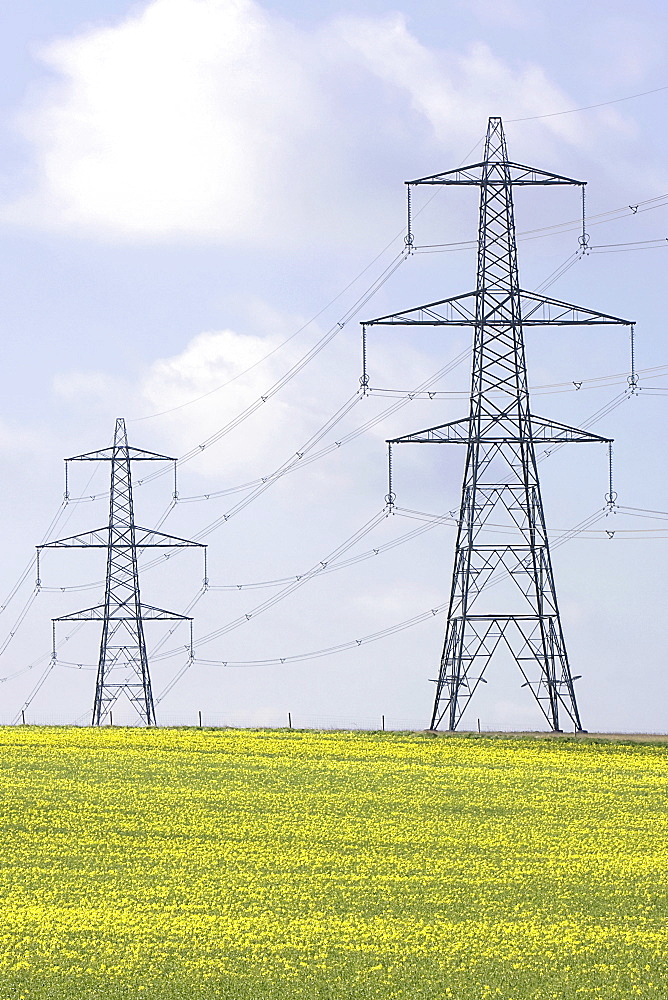 UK, Cambs, Burwell, Electricity pylons