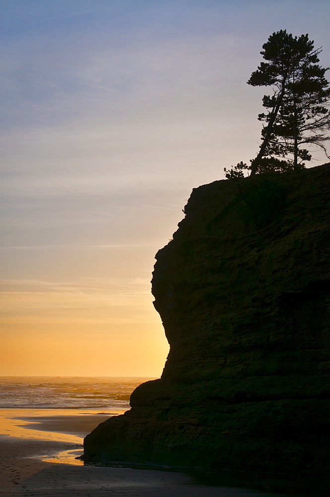 Pine tree on top of cliff at sunset