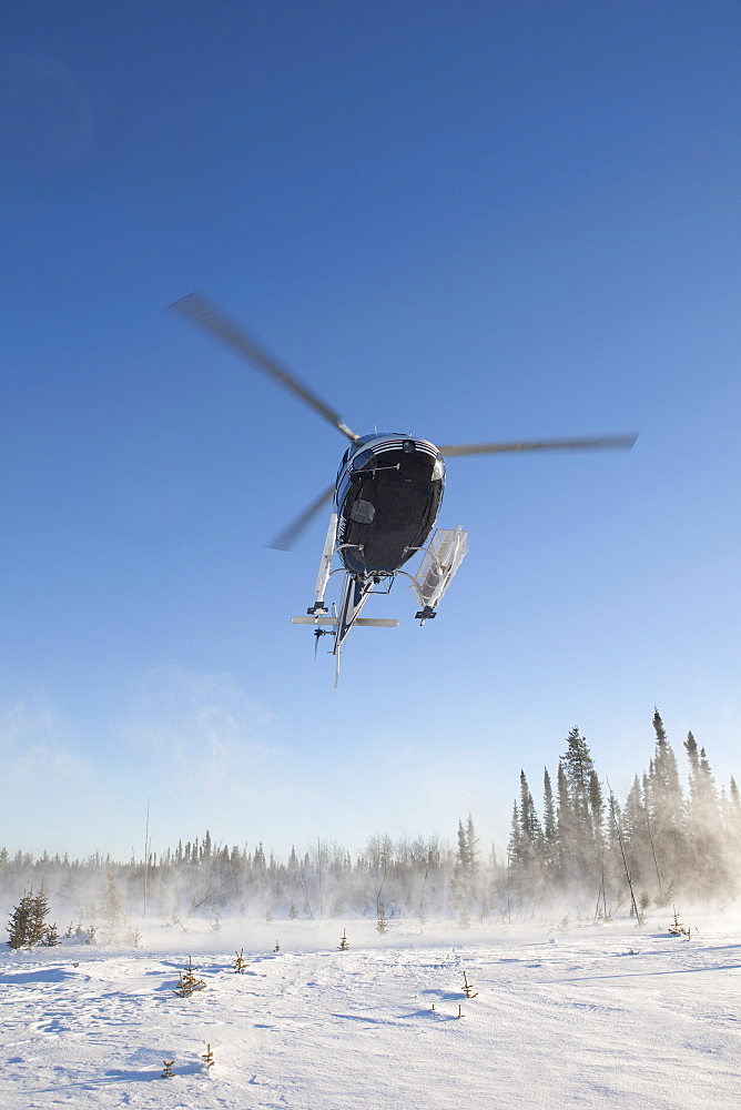 Canada, Alberta, Helicopter landing on snow