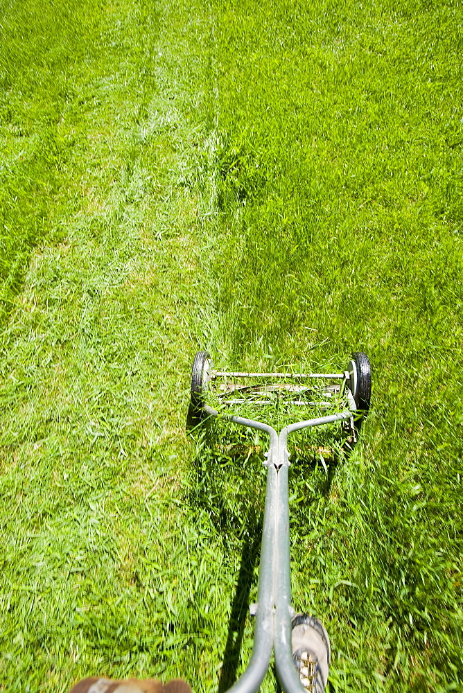 USA, California, Point Reyes, Old fashioned mower on lawn