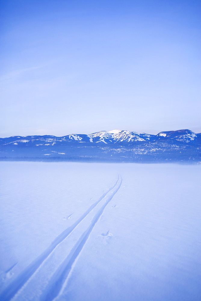 USA, Montana, Whitefish, Cross country skiing tracks in snow